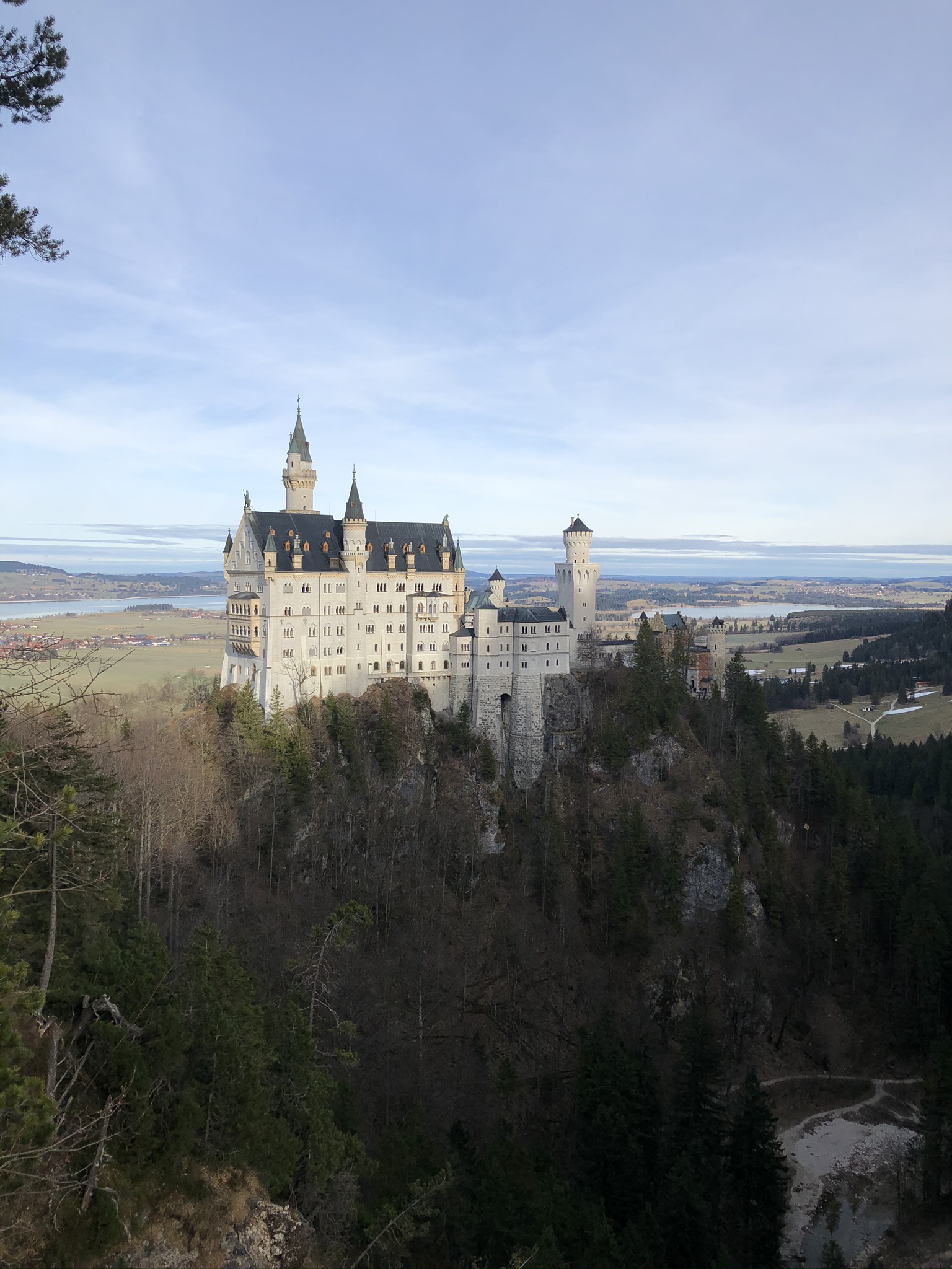 Buying Flight Tickets