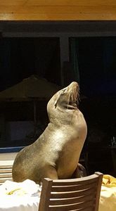 Deciding Where to Go