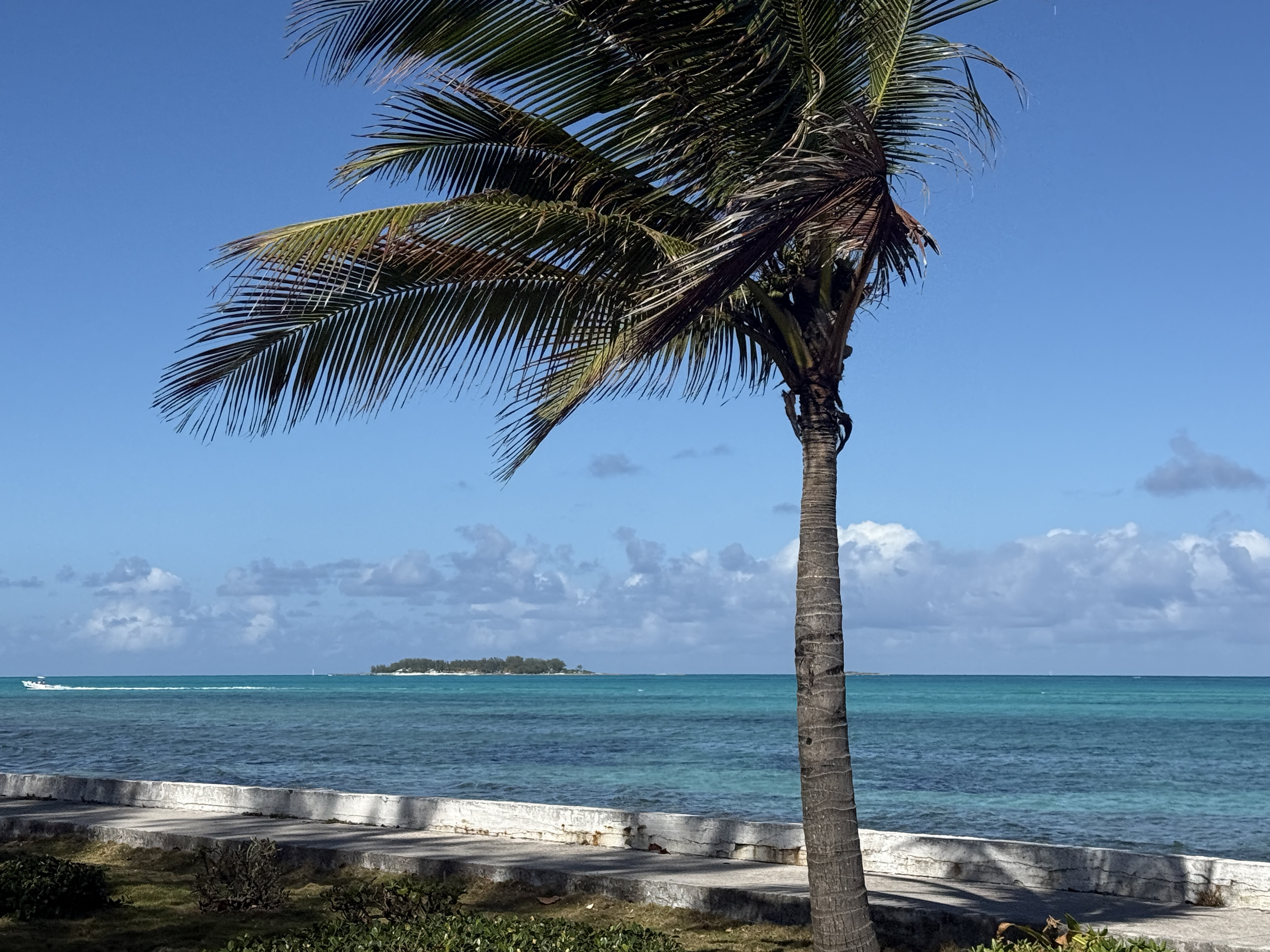 Nassau, Bahamas, February 2026